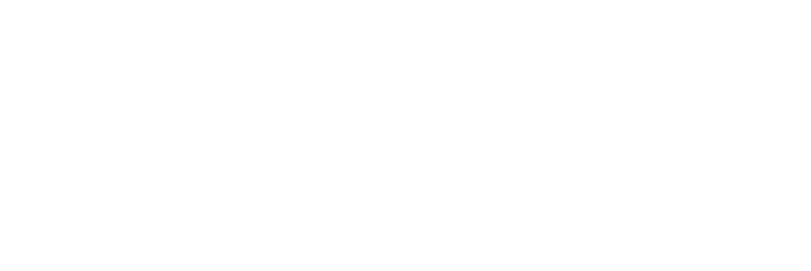 UdelaR